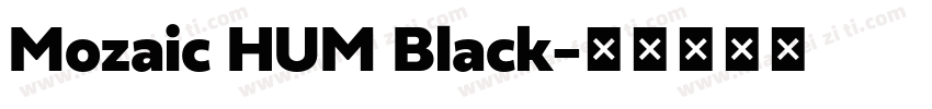 Mozaic HUM Black字体转换